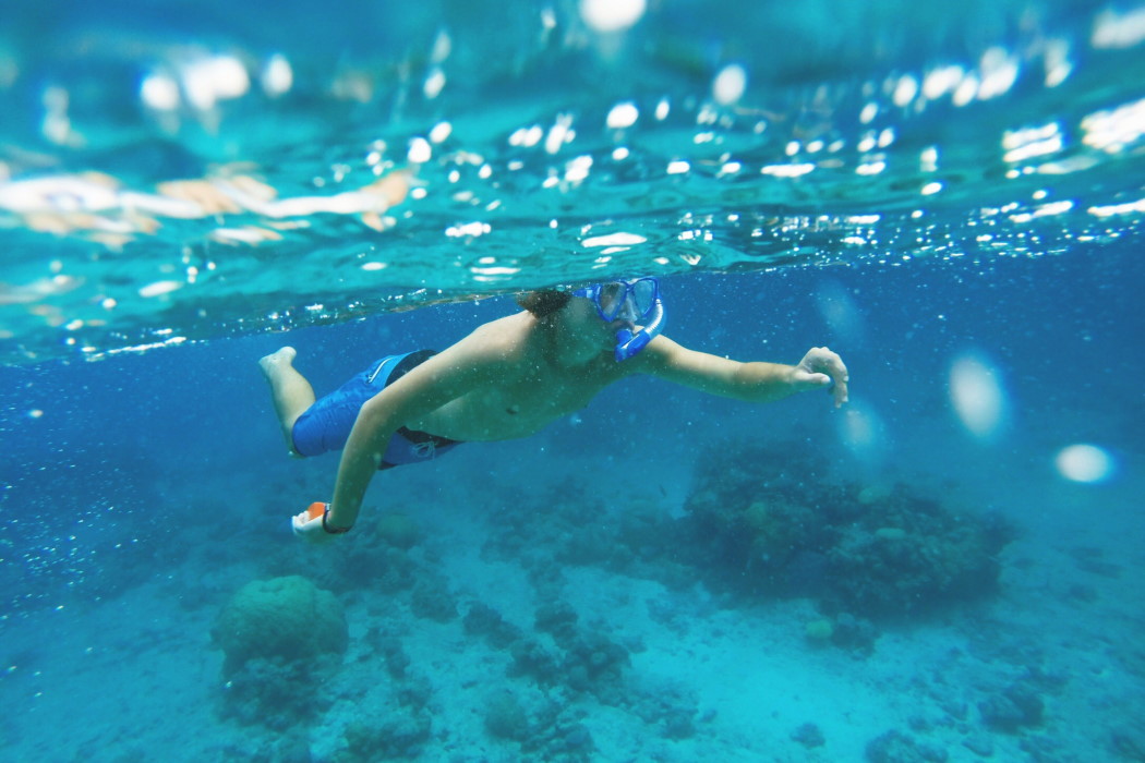 Jak zacząć swoją przygodę ze snorkelingiem i co jest potrzebne?