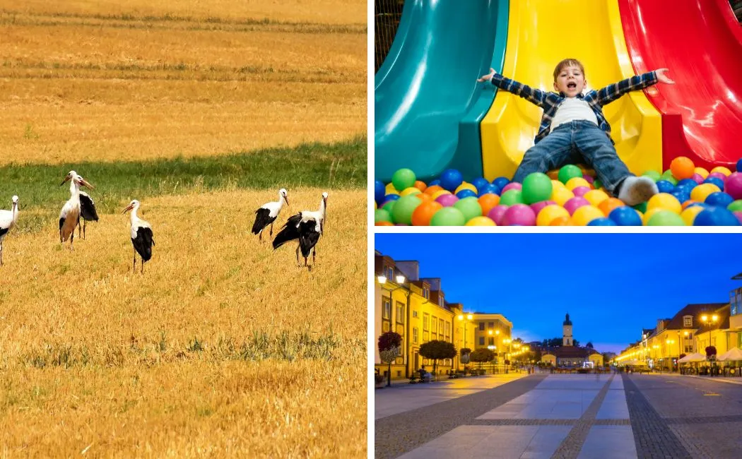 Majówka na Podlasiu z dzieckiem? Oto pomysły, które zamienią długi weekend w rodzinną przygodę