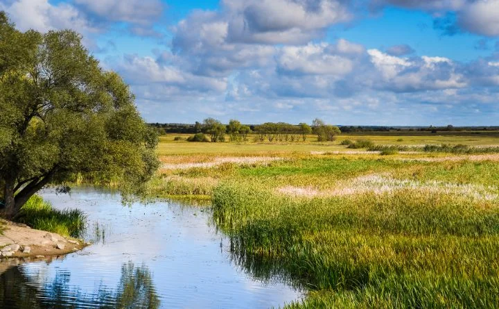 Obraz do artykułu: Ekologiczne miliony dla Podlasia. Ministerstwo odpowiada posłowi
