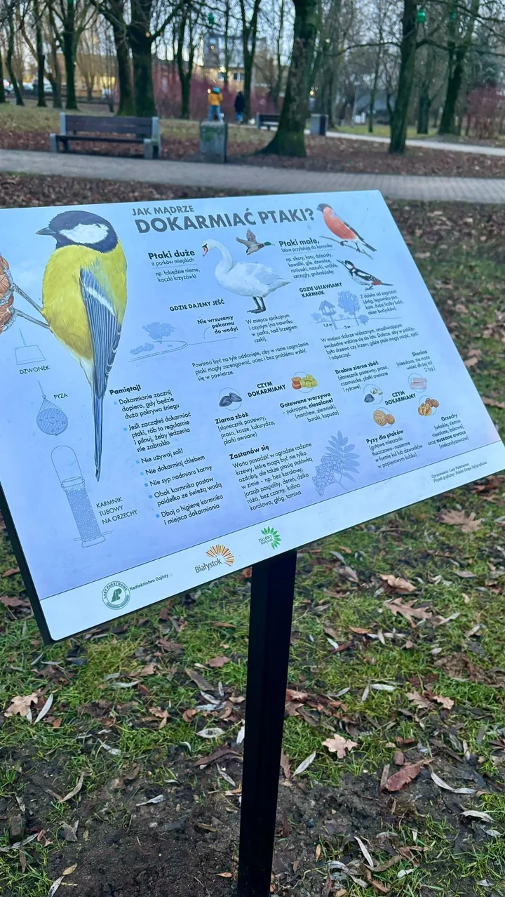 Obraz do artykułu: Leśnicy zapraszają na warsztaty w Białymstoku – będzie o ptakach, karmnikach i dobrej zabawie