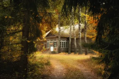 Drewno, które pamięta Podlasie. Fotografie Małgorzaty Pawelczyk w Białymstoku