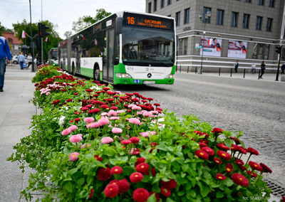 Autobus komunikacji miejskiej stoi na ulicy Lipowej