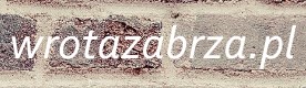 www.wrotazabrza.pl