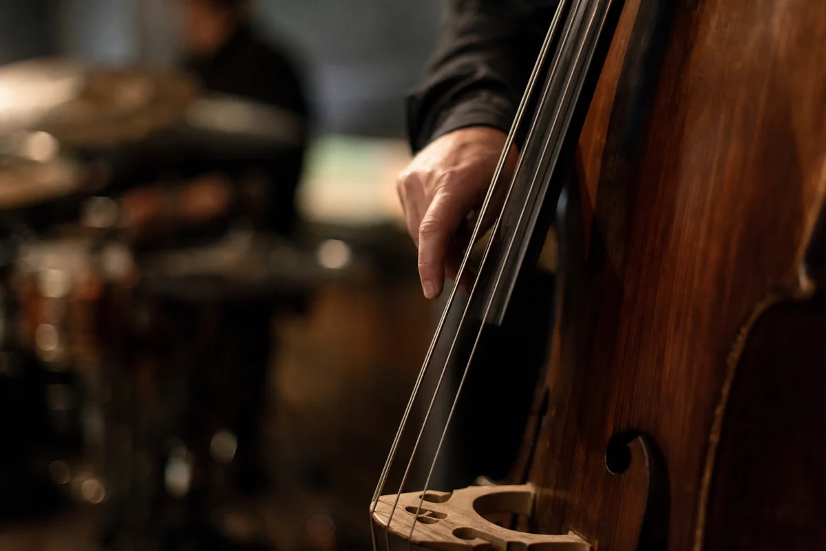 Grafika promocyjna wydarzenia Kasia Pietrzko Trio – Jazz na BOK-u