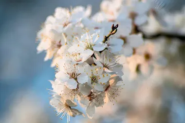Grafika promocyjna wydarzenia USTAWIENIA SYSTEMOWE / BIAŁYSTOK — warsztat rozwojowy
