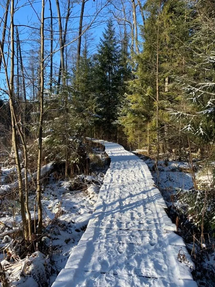 Grafika promocyjna wydarzenia USTAWIENIA SYSTEMOWE / BIAŁYSTOK — warsztat uzdrawiania rodzinnego