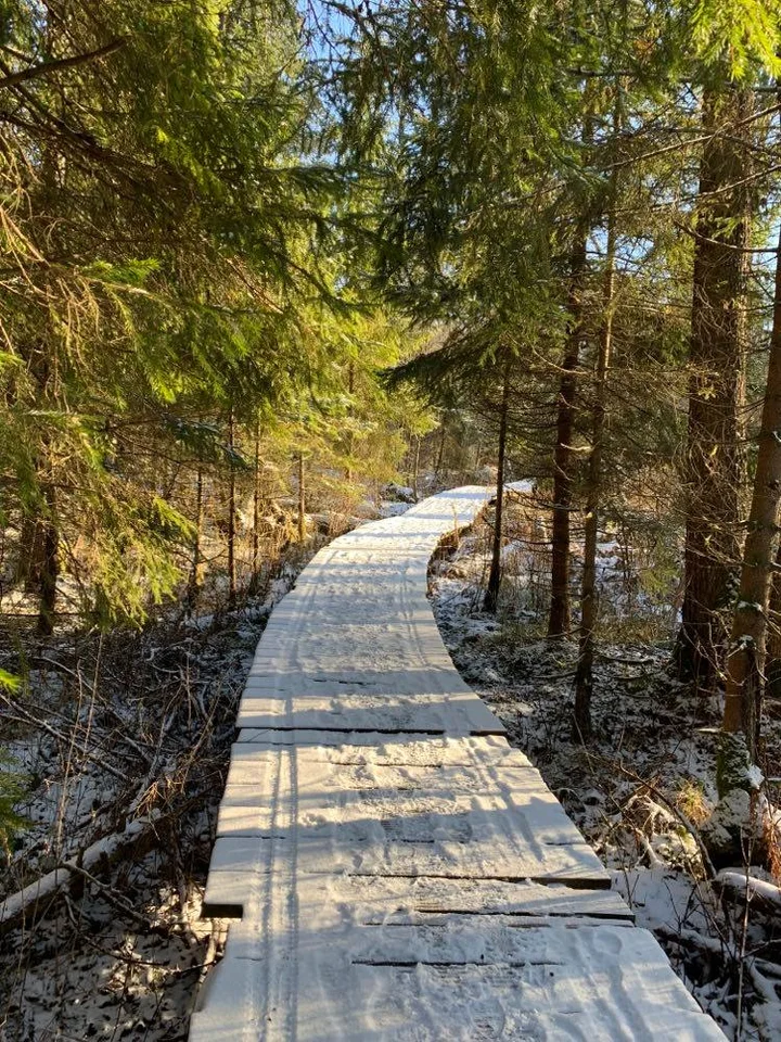 Grafika promocyjna wydarzenia Ustawienia Systemowe (Białystok) – warsztat transformacji rodzinnej i osobistej