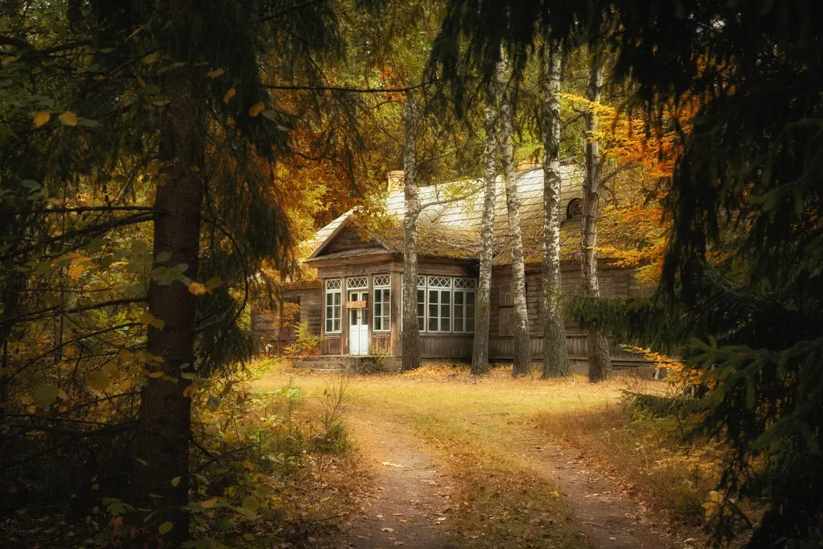 Grafika promocyjna wydarzenia Wystawa fotograficzna „Pamięć drewna” – wernisaż