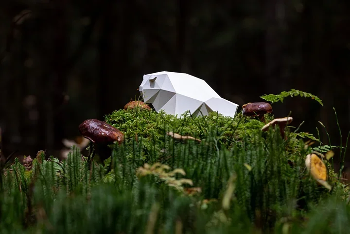 ŻUBROFFKA szuka krótkich metraży. Białystok znów otwiera drzwi filmowcom