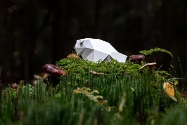 ŻUBROFFKA szuka krótkich metraży. Białystok znów otwiera drzwi filmowcom