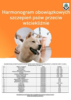 Psy muszą zostać zaszczepione. Jest 20 punktów w gminie Czarnej Białostockiej