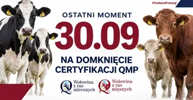 Rolnicy mogą stracić dopłatę. Został termin na certyfikat QMP