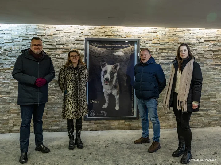 W sercu miasta – zdjęcia ze schroniska przypominają o adopcji i bezwarunkowej miłości