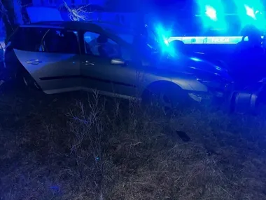 Pijany kierowca z dożywotnim zakazem uderzył w drzewo i próbował zwiać