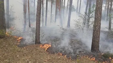 Wracali z zajęć i jako pierwsi zatrzymali ogień w lesie pod Uhowem