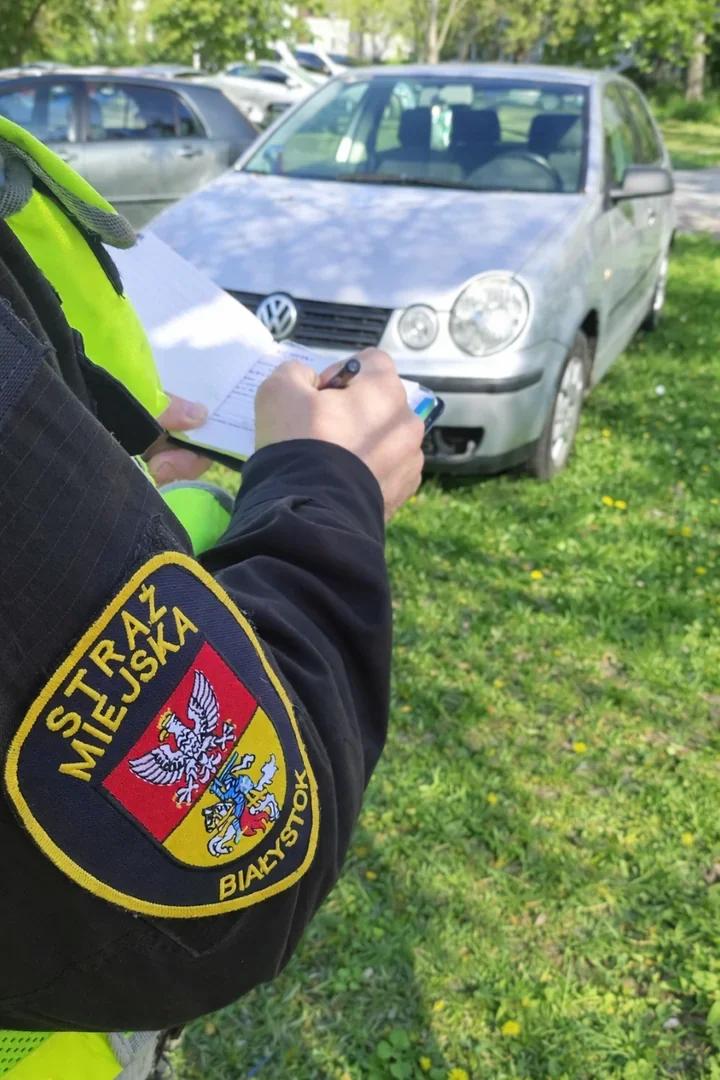 Zielone trawniki pod lupą - Straż Miejska ruszyła z akcją Zieleniec