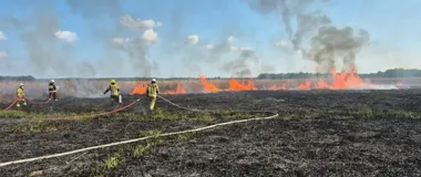 Płomienie sięgały 6 metrów - w Narwiańskim Parku spłonęło 14 hektarów